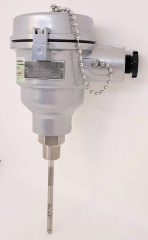 Temperature transmitter 